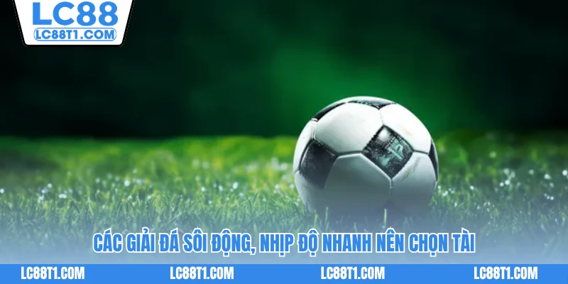 Các giải đá sôi động, nhịp độ nhanh nên chọn Tài