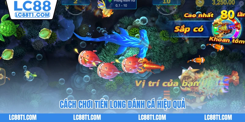 Cách chơi Tiền Long Đánh Cá thu lời tối ưu