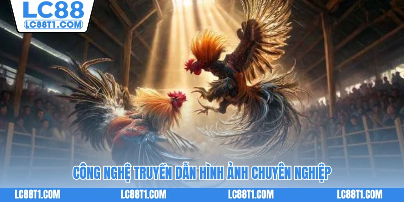 Công nghệ truyền dẫn hình ảnh chuyên nghiệp 