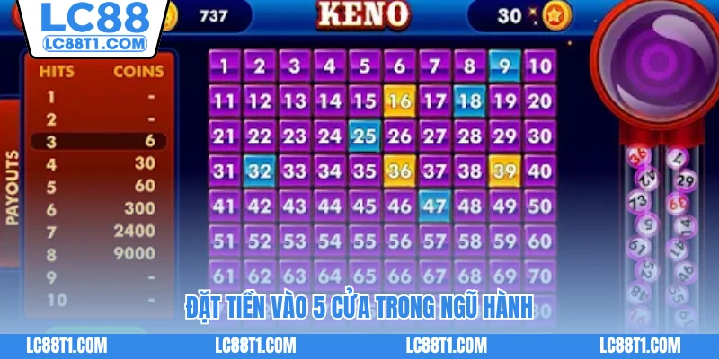 Đặt tiền vào 5 cửa trong Ngũ Hành