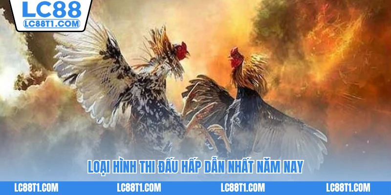Loại hình thi đấu hấp dẫn nhất năm nay