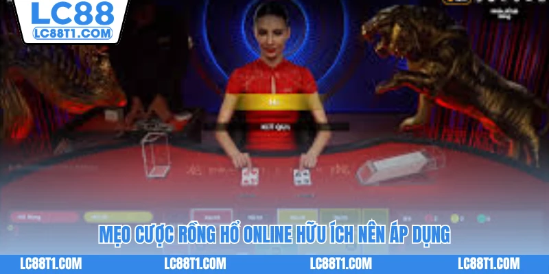 Mẹo cược Rồng Hổ online hữu ích nên áp dụng
