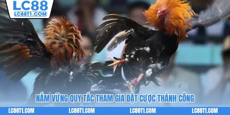 Nắm vững quy tắc tham gia đặt cược thành công 