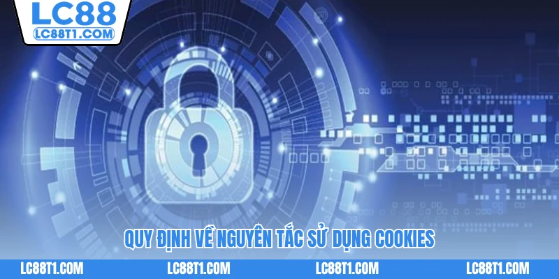Quy định về nguyên tắc sử dụng cookies