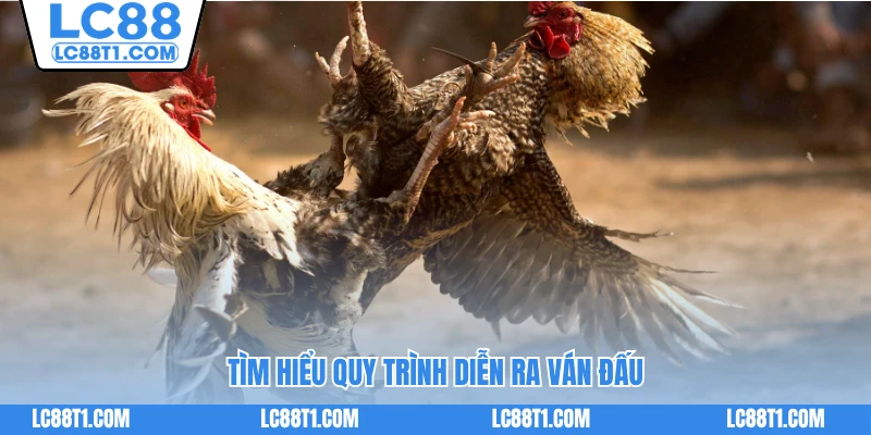 Tìm hiểu quy trình diễn ra ván đấu