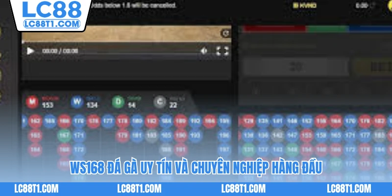 WS168 đá gà uy tín và chuyên nghiệp hàng đầu