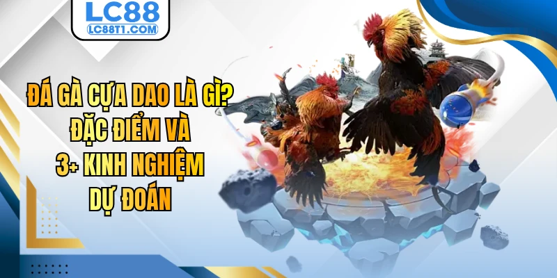 Đá Gà Cựa Dao Là Gì? Đặc Điểm Và Top 3 Kinh Nghiệm Dự Đoán