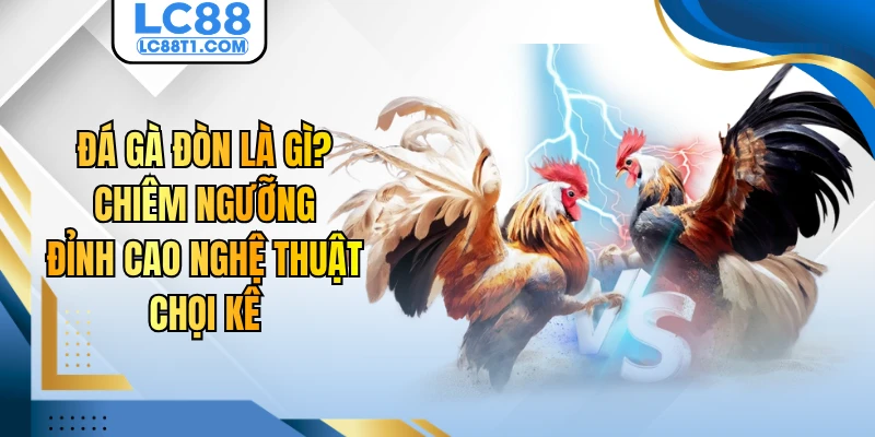 Đá Gà Đòn Là Gì? Chiêm Ngưỡng Đỉnh Cao Nghệ Thuật Chọi Kê