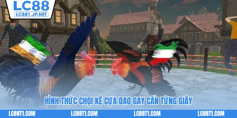 Hình thức chọi kê cựa dao gay cấn từng giây