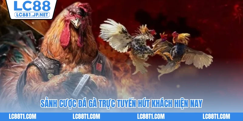 Sảnh cược đá gà trực tuyến hút khách hiện nay