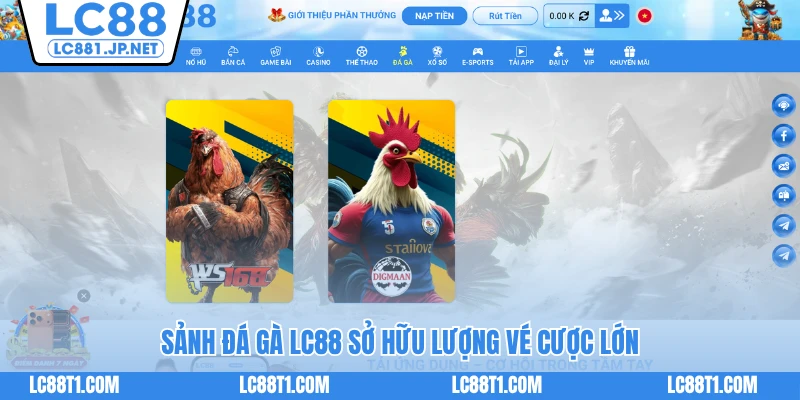 Sảnh đá gà LC88 sở hữu lượng vé cược lớn